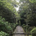 Kyoto: The Path Less Traveled (Private) - Why This Tour Offers Exceptional Value