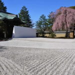 Kyoto: Timeless Kodaiji - Journey Through Historic Kyoto - What Makes This Tour Stand Out