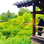 Kyoto: Tofuku-ji Temple and Komyo-in Guided Walking Tour - Discovering Kyoto’s Zen Heritage: A Detailed Review