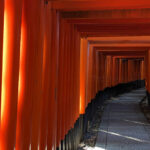 Kyoto: Top Sights Guided Tour - Gion, Kinkaku, Fushimi, Nijo - The Sum Up