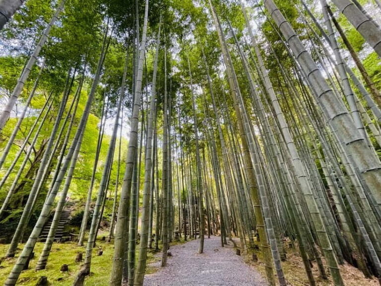 Kyoto : True Kyoto Avoid the crowds E-Bike Tour - An In-Depth Look at the Kyoto E-Bike Tour