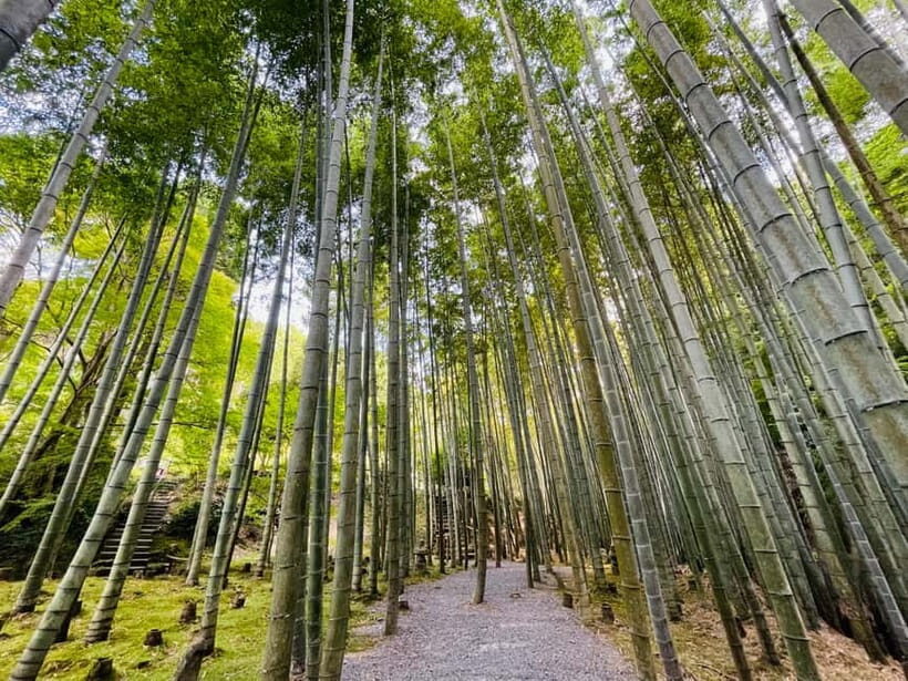 Kyoto : True Kyoto Avoid the crowds E-Bike Tour - An In-Depth Look at the Kyoto E-Bike Tour
