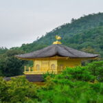 Kyoto & Uji: Full Day Sightseeing Tour from Osaka or Kyoto - Who Would Love This Tour?