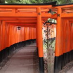 Kyoto Walking Tour at Fushimi Inari Shrine and Tofukuji Temple - A Closer Look at the Tour Experience