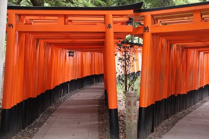 Kyoto Walking Tour at Fushimi Inari Shrine and Tofukuji Temple - A Closer Look at the Tour Experience