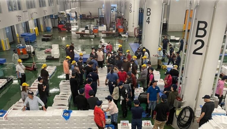 Kyoto: Wholesale Fish Market Walking Tour - What Makes This Tour Stand Out