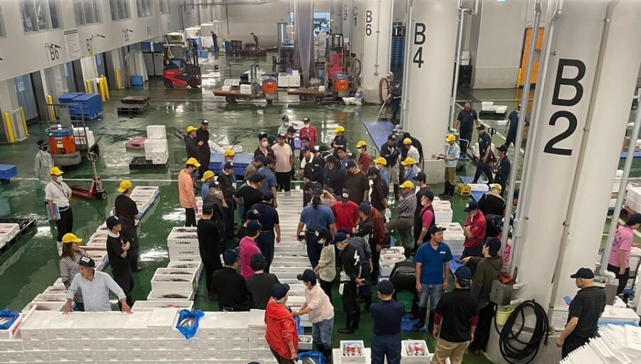 Kyoto: Wholesale Fish Market Walking Tour - What Makes This Tour Stand Out