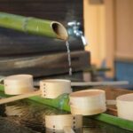 Kyoto: Zen Meditation and Garden Tour at a Temple with Lunch - Who Will Enjoy This Tour?