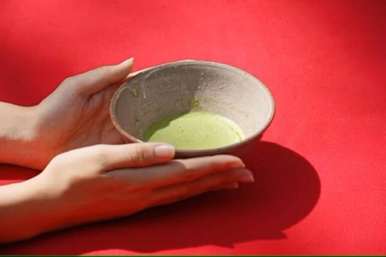 Kyotos Timeless Charm: 3hr Exploration of History and Peace - The Practical Side: Value and Logistics