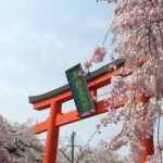 Kyoto's World Heritage Walking Tour from Kyoto st. - Who Should Consider This Tour?