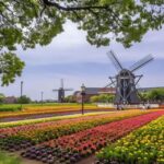 Kyushu 9-hour chartered day trip Nagasaki - Exploring Nagasaki in Style and Comfort