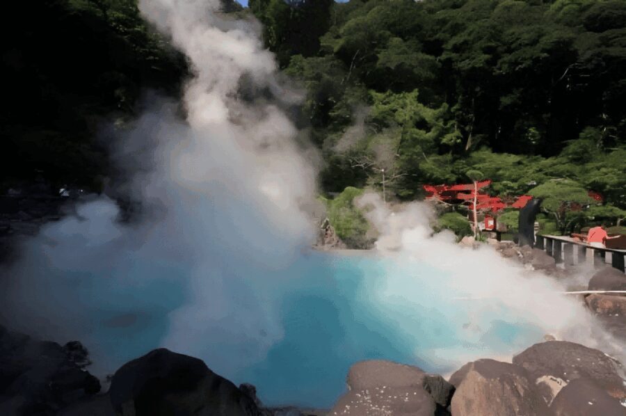 Kyushu 9-hour chartered day trip Oita - Exploring Kyushu in Comfort and Style