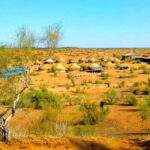 Kyzylkum Desert tour from Bukhara (1 Night 2 Days) - Possible Drawbacks and Considerations