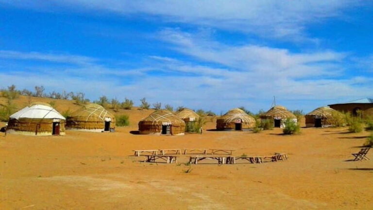 Kyzylkum Desert tour from Samarkand (1Night 2 Days) - Practical Considerations