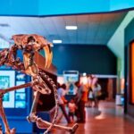 La Brea Tar Pits and Museum Admission Ticket with Excavator Tour - Final Thoughts