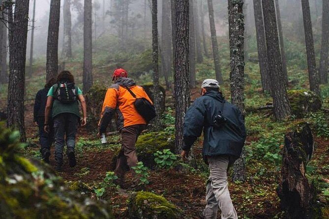 La Pirámide Park // WALK AND DISCOVER THE PARK - Who Would Love This Tour