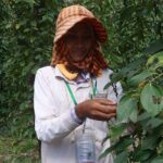 La Plantation tour (discovering Kampot Pepper) + Lunch - Who Should Book This Tour?