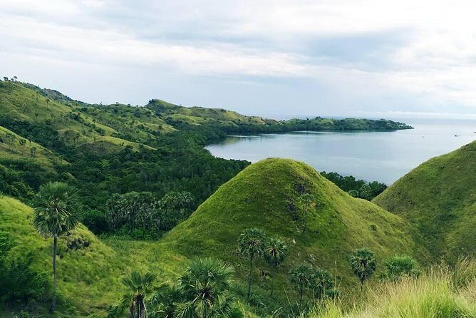 Labuan Bajo In Depth - Final Thoughts on Value and Suitability