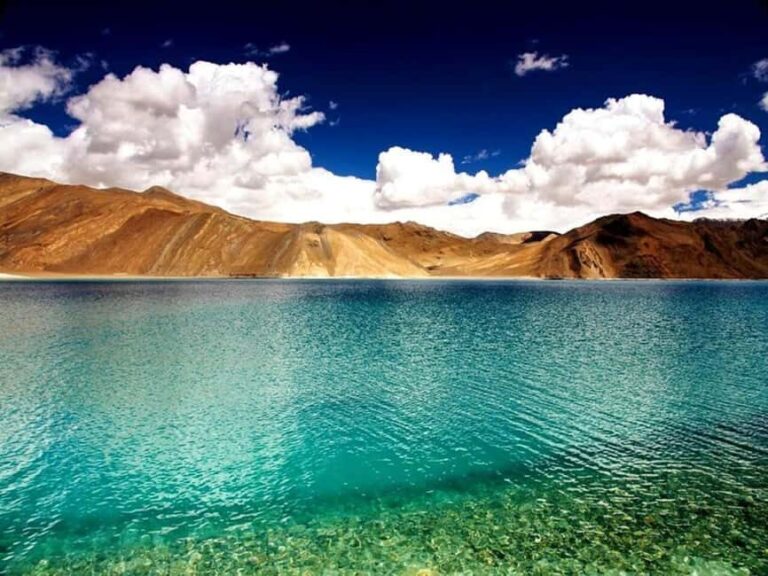 Ladakh: 5-Day Family Tour with Accommodation & Transfers - What Makes This Tour Special