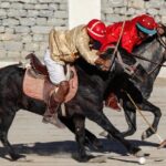 Ladakh 5-Star Premium Tour 7 Days - Who Should Consider This Tour?