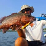 Lagoon Fishing from Negombo - Final Thoughts: Is This the Right Choice?