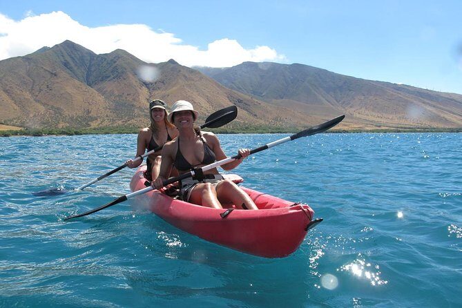 Lahaina Kayak and Snorkel Excursion - Value and Overall Impression