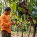 Lahaina: Maui Ku'ia Estate Guided Cacao Farm Tour and Tasting - Who Should Book This Tour?