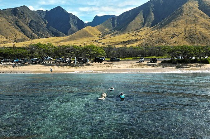 Lahaina Ukumehame Beach Private Surf Activity - Authentic Feedback & Insights from Reviews