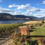 Lake Country 5Hour 5 Winery Tour - Potential Drawbacks or Considerations