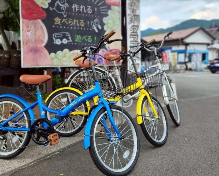Lake Kawaguchi: 1-Day Bicycle Rental - What Makes This Bicycle Experience Stand Out