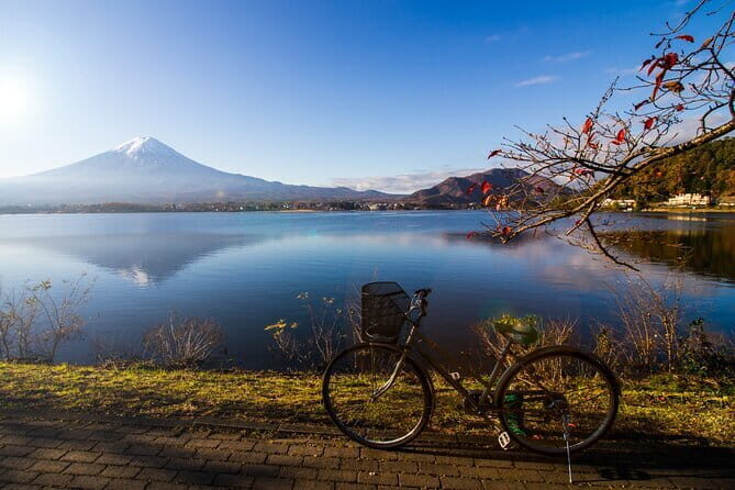 Lake Kawaguchiko Private Customizable Full Day Tour - The Value of a Fully Customized Tour