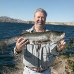 Lake Mead Striped Bass Fishing Getaway - An In-Depth Look at the Lake Mead Striped Bass Fishing Getaway