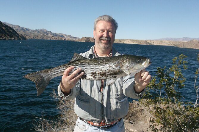 Lake Mead Striped Bass Fishing Getaway - An In-Depth Look at the Lake Mead Striped Bass Fishing Getaway