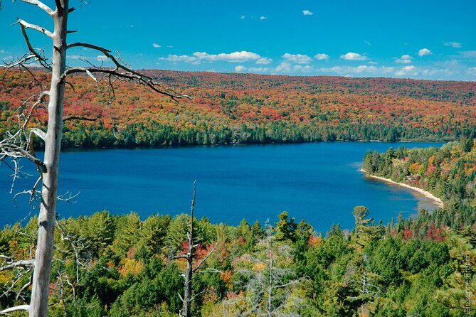 Lake Muskoka and Algonquin Small Group 1-Day Tour From Toronto - In The Sum Up: Is This Tour for You?