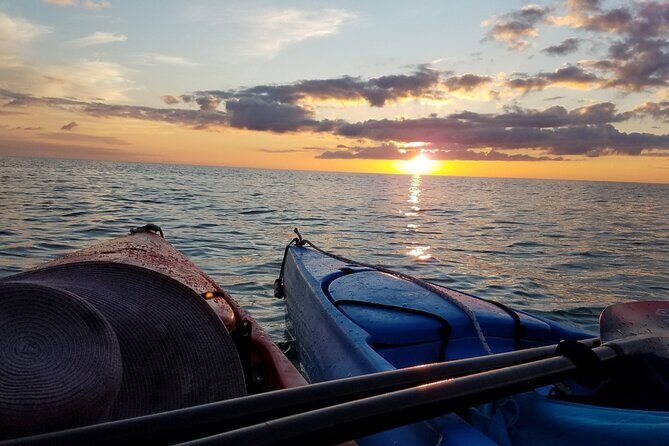 Lake Osborne Gator Watch Tour - Who Will Love This Tour?