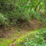 Lake Tachibana: Hike to a hidden lake! - Pricing: Value and What’s Included