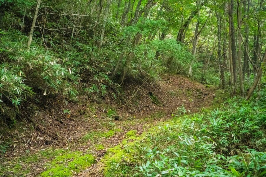 Lake Tachibana: Hike to a hidden lake! - Pricing: Value and What’s Included