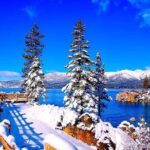 Lake Tahoe Full day Private Tour from Cupertino - Who Would Love This Tour?