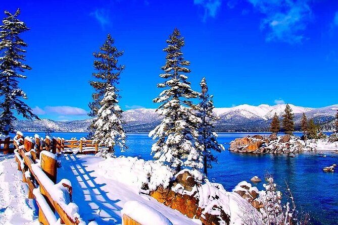 Lake Tahoe Full day Private Tour from Cupertino - Who Would Love This Tour?