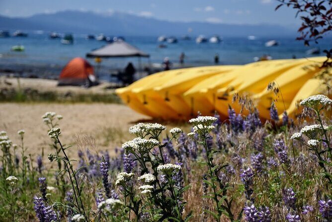 Lake Tahoe: North Shore Kayak Rental - Final Thoughts