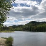 Lake Tarleton Self-Guided Paddle - Who Will Love This Tour?