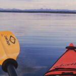 Lake Yellowstone Half Day Kayak Tours Past Geothermal Features - An Authentic Yellowstone Encounter