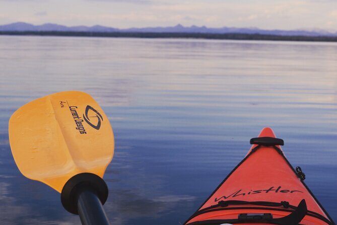 Lake Yellowstone Half Day Kayak Tours Past Geothermal Features - An Authentic Yellowstone Encounter