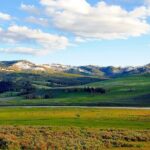 Lamar River Valley Day Hike Tour - What Travelers Say