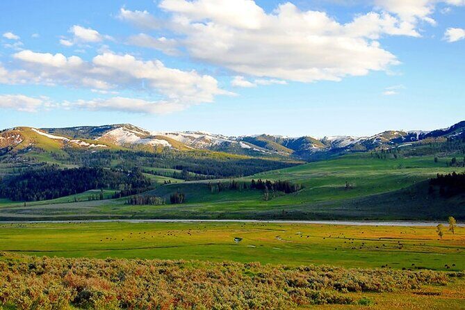 Lamar River Valley Day Hike Tour - What Travelers Say