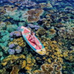 Lan Ha Bay Sunset Cruise Tour With Bioluminescent Kayaking - Practical Details and What to Bring