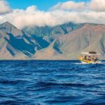 Lanai Deluxe Dolphin Adventure & 3 Snorkel Sites - An In-Depth Look at the Lanai Deluxe Dolphin Adventure