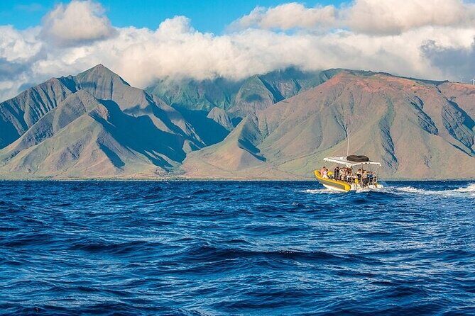 Lanai Deluxe Dolphin Adventure & 3 Snorkel Sites - An In-Depth Look at the Lanai Deluxe Dolphin Adventure