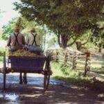 Lancaster: Downtown & Amish Country Authentic Lancaster Tour - Practical Details and What to Expect