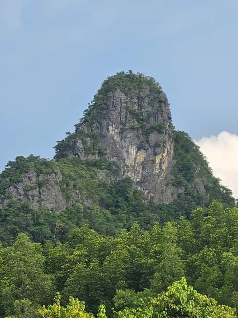 Langkawi: 3-Hour Shared Kilim Geoforest Mangrove Boat Tour - Who Should Consider This Tour?